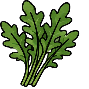 Rúcula