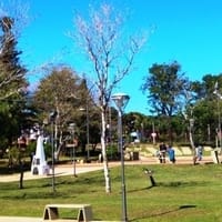 IPEC Misiones localidad de Cerro Azul ENGHo 2018