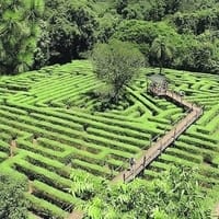 IPEC Misiones localidad de Montecarlo ENGHo 2018