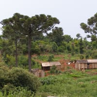 IPEC Misiones localidad de San Pedro ENGHo 2018