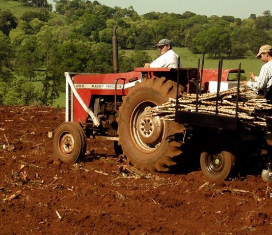 Continúan los preparativos para el Censo Nacional Agropecuario 2018 Preparativos del Censo Nacional Agropecuario 2018