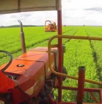Comenzó el Censo Nacional Agropecuario 2018 Comenzó el Censo Nacional Agropecuario 2018