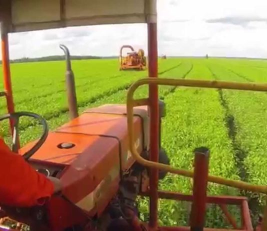 Comenzó el Censo Nacional Agropecuario 2018 Comenzó el Censo Nacional Agropecuario 2018