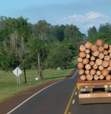 Exportaciones de Misiones | 1° Semestre 2018 Exportaciones de la Provincia de Misiones para el 1° Semestre de 2018