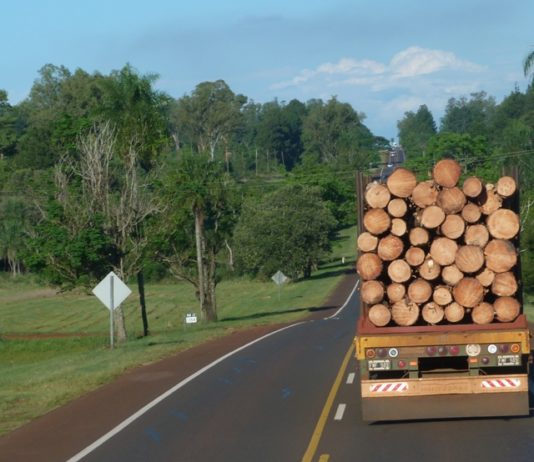 Exportaciones de Misiones | 1° Semestre 2018 Exportaciones de la Provincia de Misiones para el 1° Semestre de 2018