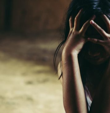 Informe sobre violencia doméstica en Misiones • Año 2017 | Línea 102