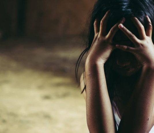 Informe sobre violencia doméstica en Misiones • Año 2017 | Línea 102