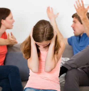 Se lanzó el Observatorio de Violencia Familiar y de Género de Misiones Violencia familiar y de género en Misiones 2017