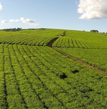 Exportaciones de Misiones | Enero – Septiembre 2018 Exportaciones de Misiones