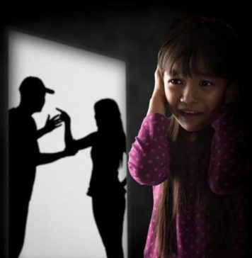 Registros Policiales sobre Violencia Familiar y de Género 2017 Registro Provincial de Violencia Doméstica de Misiones