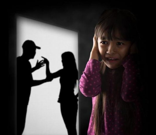 Registros Policiales sobre Violencia Familiar y de Género 2017 Registro Provincial de Violencia Doméstica de Misiones