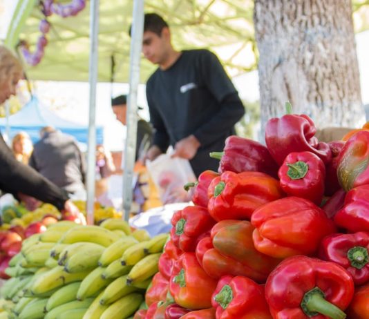 Índice de Precios al Consumidor | Región NEA: Diciembre 2018 Índice de Precios al Consumidor (IPC) Región NEA Misiones (Misiones Cuatro)