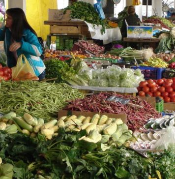 Índice de Precios al Consumidor | Región NEA: Enero 2019 Índice de Precios al Consumidor (IPC) en el NEA