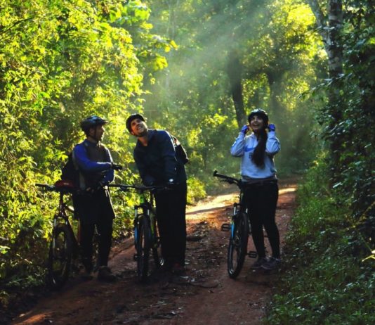 Ocupación Hotelera en Misiones | 1° Trimestre 2019