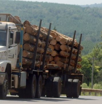 Exportaciones de Misiones | 1° Trimestre 2019 Exportaciones de Misiones 1° trimestre 2019