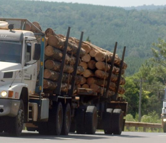 Exportaciones de Misiones | 1° Trimestre 2019 Exportaciones de Misiones 1° trimestre 2019