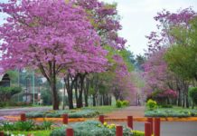 Municipio Apóstoles