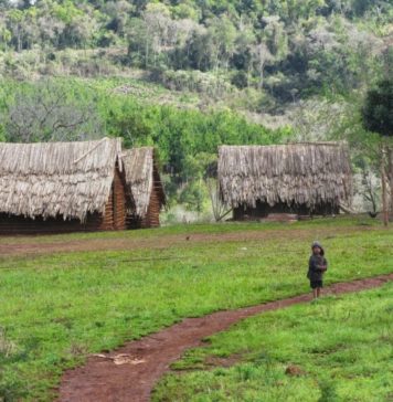 Estructura demográfica de la población Mbya Guaraní en Misiones | Año 2019 Datos estadísticos sobre la población mbya guaraní