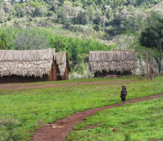 Estructura demográfica de la población Mbya Guaraní en Misiones | Año 2019 Datos estadísticos sobre la población mbya guaraní
