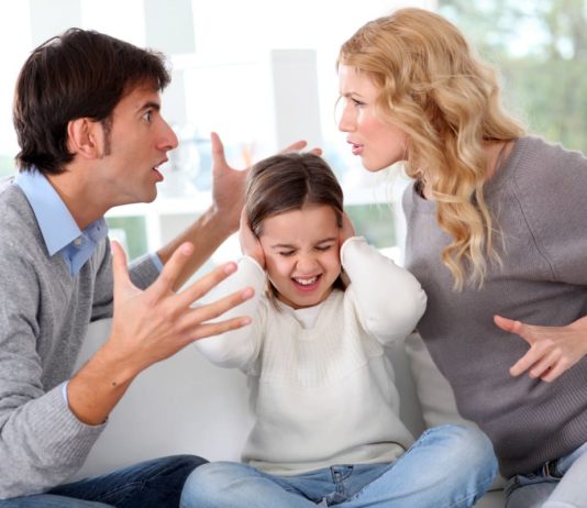 Violencia familiar y de género en Misiones (Línea 137) | Año 2018