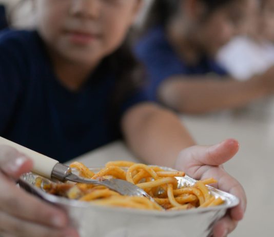 Línea de pobreza e indigencia en Gran Posadas | 2° Semestre 2019 Línea de Pobreza e Indigencia en Gran Posadas