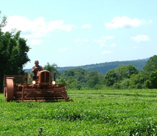 Resultados preliminares del Censo Nacional Agropecuario 2018 Resultados preliminares del Censo Nacional Agropecuario 2018 en Misiones