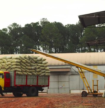 Exportaciones de Misiones | Enero-Diciembre 2019