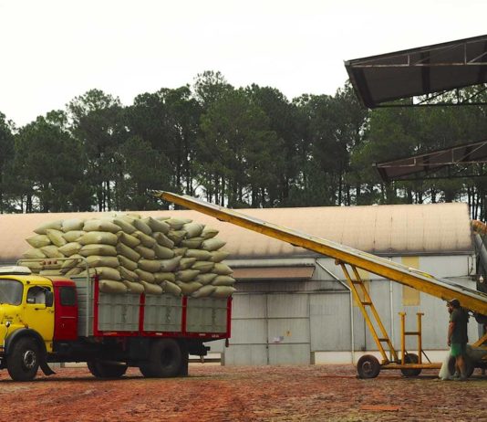 Exportaciones de Misiones | Enero-Diciembre 2019