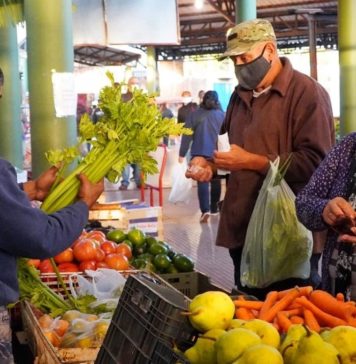 Índice de Precios al Consumidor | Región NEA: Mayo 2020