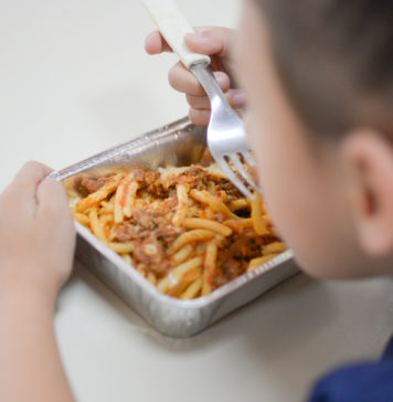 Pobreza e Indigencia Multicausal | 4° Trimestre 2019