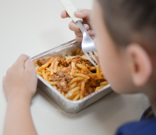 Pobreza e Indigencia Multicausal | 4° Trimestre 2019