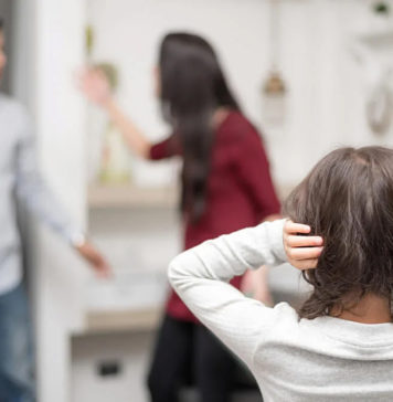 Violencia familiar y de género en Misiones (Línea 137) | Año 2019