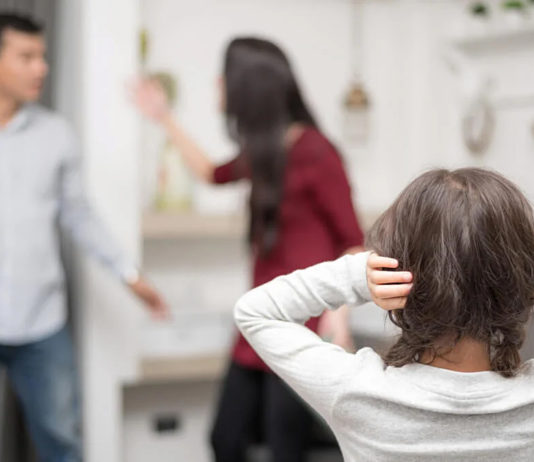 Violencia familiar y de género en Misiones (Línea 137) | Año 2019