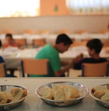 Línea de pobreza e indigencia en Gran Posadas | 1° Semestre 2020