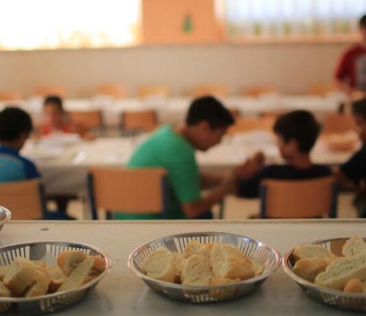 Línea de pobreza e indigencia en Gran Posadas | 1° Semestre 2020