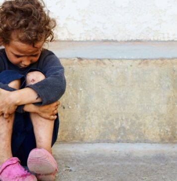 Pobreza e Indigencia Multicausal | 2° Trimestre 2020