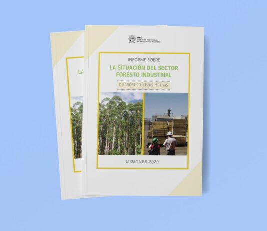 Situación del Sector Foresto Industrial en Misiones | Años 2006-2020