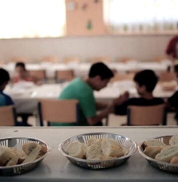 Pobreza e Indigencia Multicausal | 4° Trimestre 2020