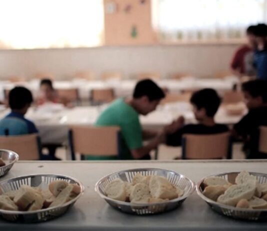 Pobreza e Indigencia Multicausal | 4° Trimestre 2020