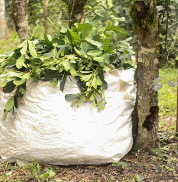 Exportaciones de Misiones | 1° Semestre 2021