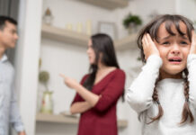 Violencia Familiar en Misiones | Octubre 2022