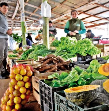 Índice de Precios de Ferias Francas | Noviembre 2022