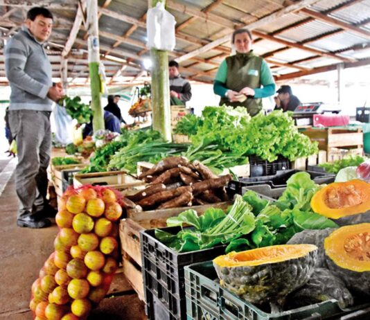 Índice de Precios de Ferias Francas | Noviembre 2022