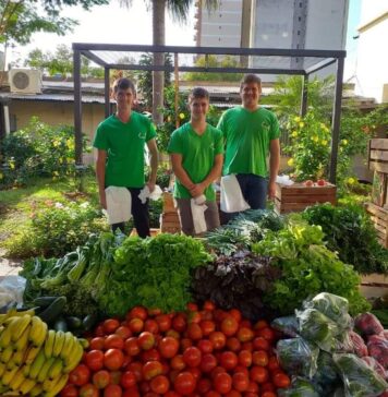 Índice de Precios de Ferias Francas | Diciembre 2022