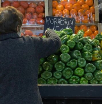 Índice de Precios al Consumidor | Región NEA: Diciembre 2022