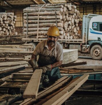 Exportaciones de Misiones | 1° Semestre 2022