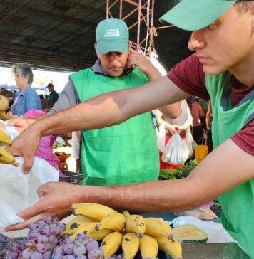 Índice de Precios de Ferias Francas | Enero 2023