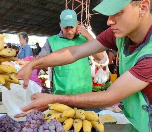 Índice de Precios de Ferias Francas | Enero 2023