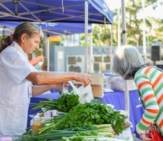 Índice de Precios de Ferias Francas | Marzo 2023