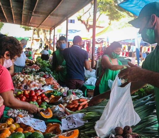 Índice de Precios de Ferias Francas | Junio 2023